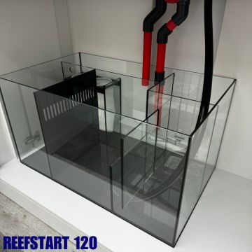 Reef Start 120 (shallow) 