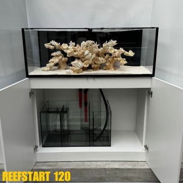 Reef Start 120 (shallow) 