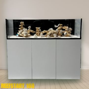 Reef Start 160 (shallow) 