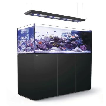 Reefer™ Peninsula S 950 G2+ Deluxe - Noir (3 RL 160S + rampe suspendue)