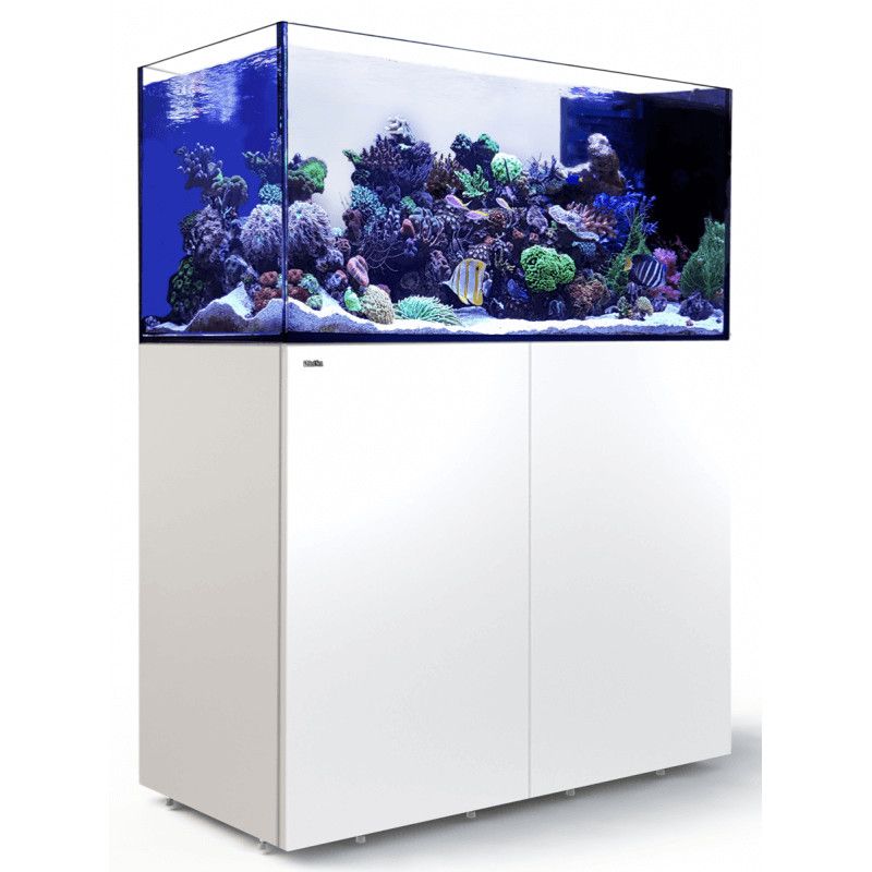 Reefer™ Peninsula 500 G2+ Reefer™ Peninsula 500 G2+