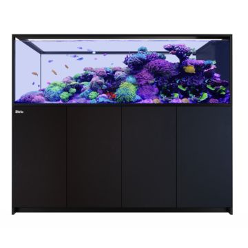 Reefer™ Peninsula S 950 G2+