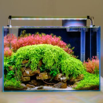 Twinstar éclairage LED B-Line 30cm