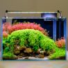 Eclairage LED Twinstar B-Line 30cm