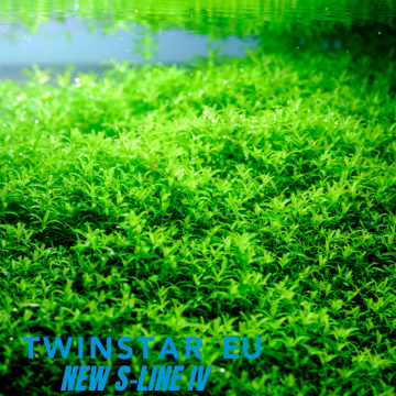 TWINSTAR S-line IV 450 (45cm) 