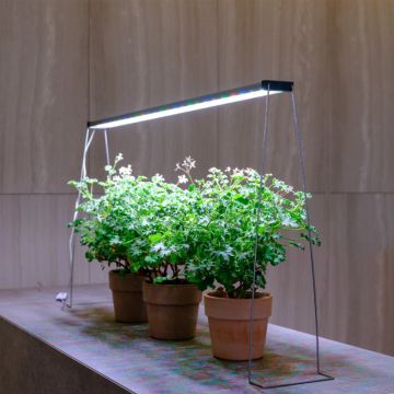 Bras extension hauteur 35cm gamme Twinstar G 