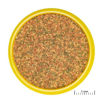 JBL PRONOVO BEL GRANO XS 100ml CLICK 7,75 €