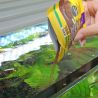 JBL PRONOVO BEL GRANO S Aliment de base en granulés de taille S pour tous poissons d'aquarium de 3 à 10 cm