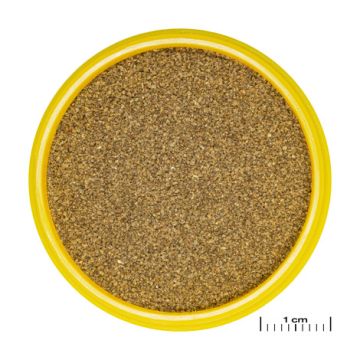 JBL PRONOVO NEON GRANO XXS 20 ml