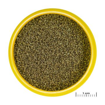JBL PRONOVO DANIO GRANO XS Aliment de base en granulés de taille XS...