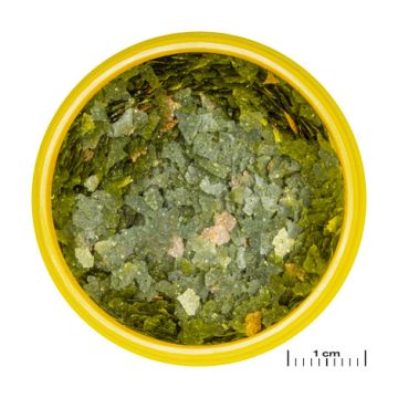 JBL PRONOVO GUPPY FLAKES S Aliment de base en flocons, taille S, pour guppys et autres poissons ovovivipares de 3 à 10 cm