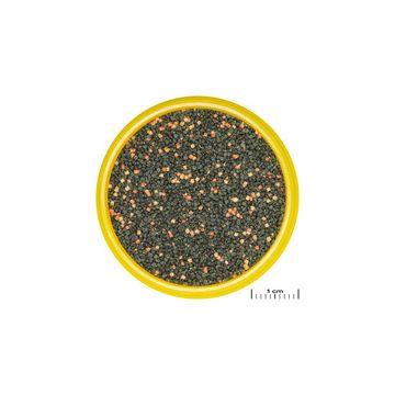 JBL PRONOVO GUPPY GRANO S Aliment de base en granulés, taille S, pour guppys et autres poissons ovovivipares de 3 à 10 cm 250ml