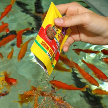 JBL PRONOVO RED INSECT STICK S Aliment de base en bâtonnets Taille ...