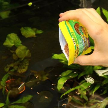 JBL PRONOVO INSECT STICK S Aliment en bâtonnets, taille S, pour tou...