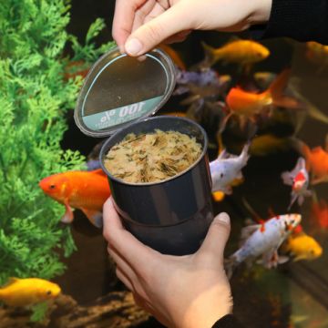 JBL PRONOVO RED FLAKES M Aliment de base en flocons, taille M, pour poissons rouges de 8 à 20 cm 1 litre
