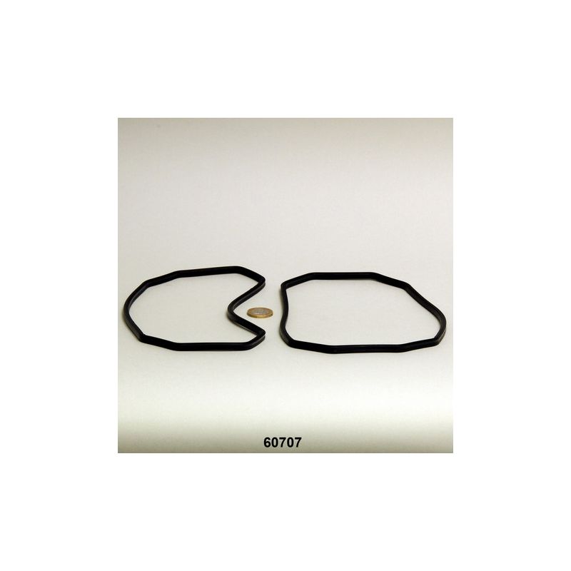 JBL UV-C 72/110W Joint pour boîtier (2x) JBL UV-C 72/110W Joint pour boîtier (2x)