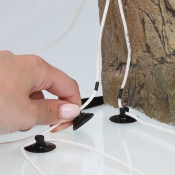 JBL ProTemp b40 II (40w pour 90-300l)