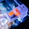 Reef Factory Smart Feeder