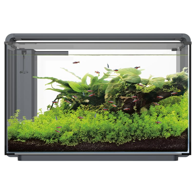 Superfish Home Proled 85 Aquarium Noir