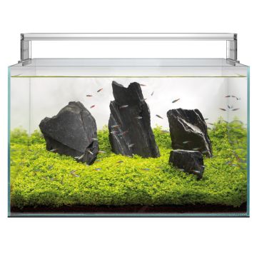 Superfish Scaper 140