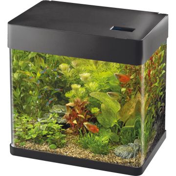 Superfish Panorama 50 Noir