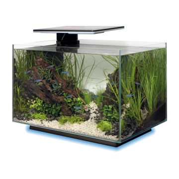 Superfish Quadro 40 Multi Colour Noir