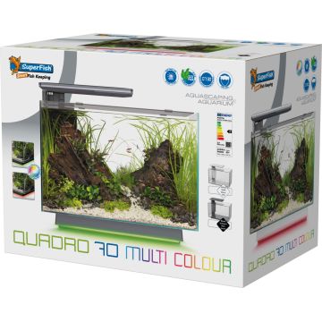 Superfish Quadro 70 Multi Colour Blanc