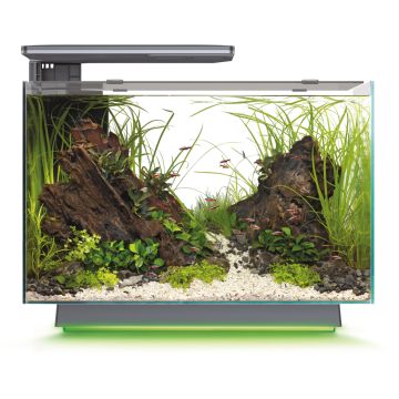 Superfish Quadro 70 Multi Colour Noir