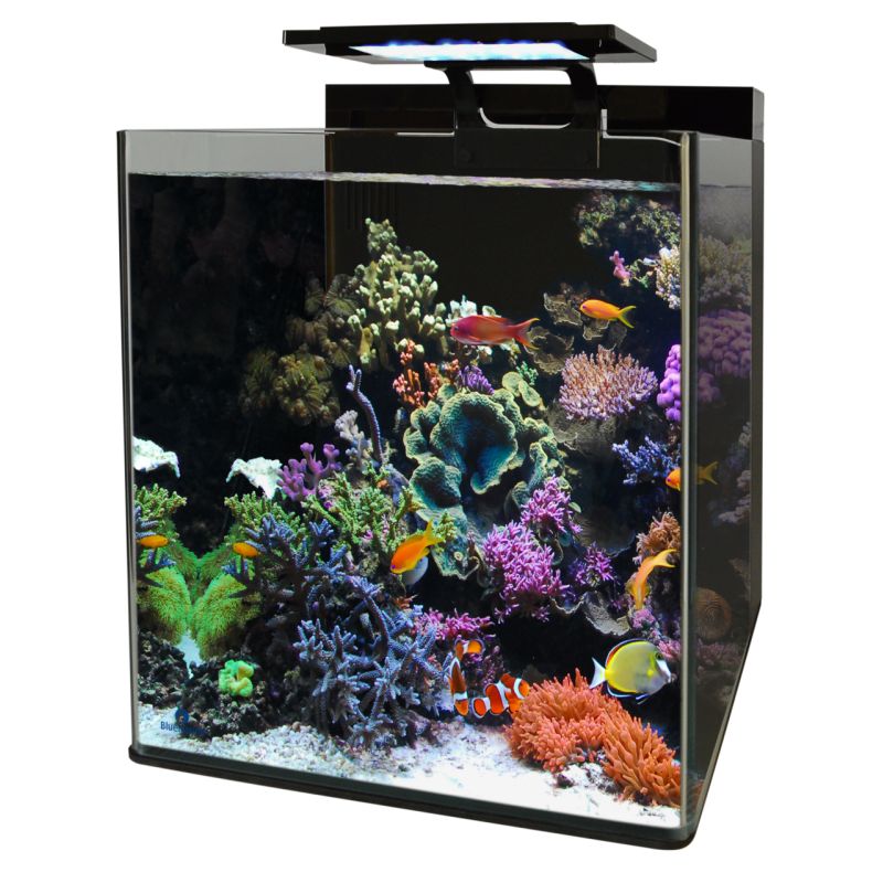 Blue marine Reef 90 aquarium