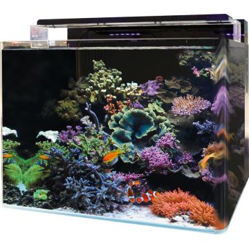 Blue Marine Reef 120