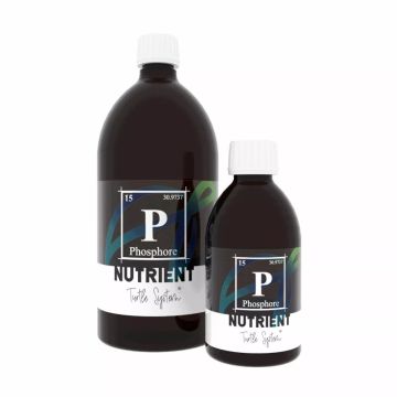 Turtle System Element Phosphore (Phosphates) 1L