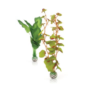 biOrb Set plantes soyeuses M vertes