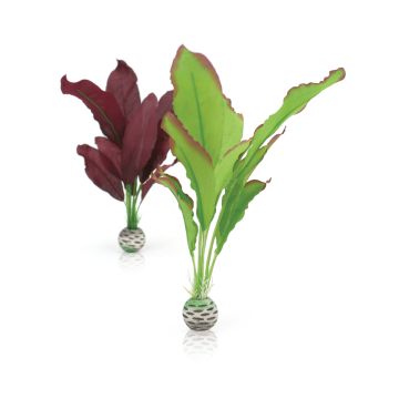 biOrb Set plantes M vertes & violettes