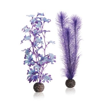 biOrb Set de plantes M violettes