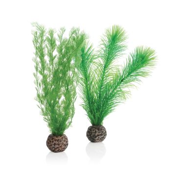biOrb Set de plantes S vertes