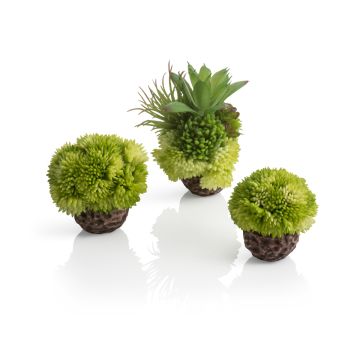 Oase Kit Corail biOrb boules vertes