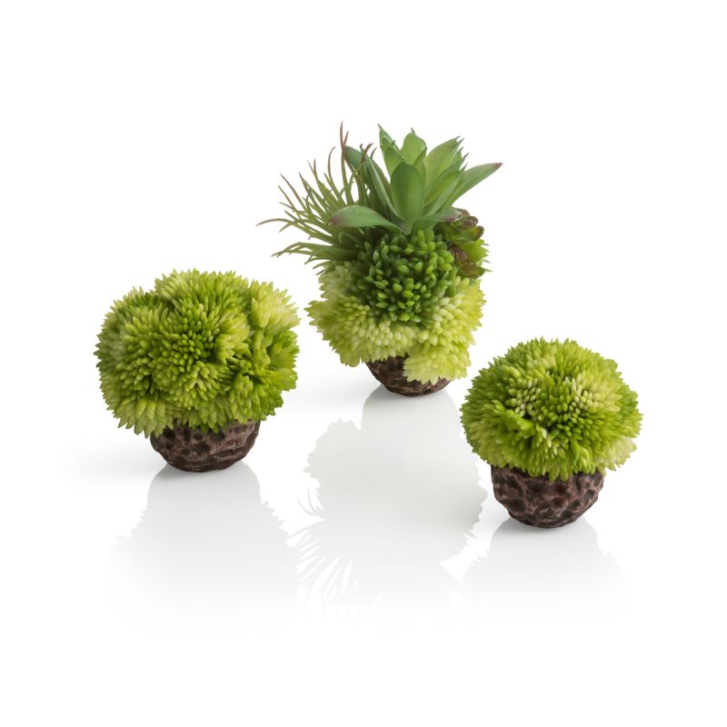 Oase Kit Corail biOrb boules vertes