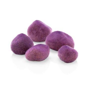 Oase Galets biOrb violets