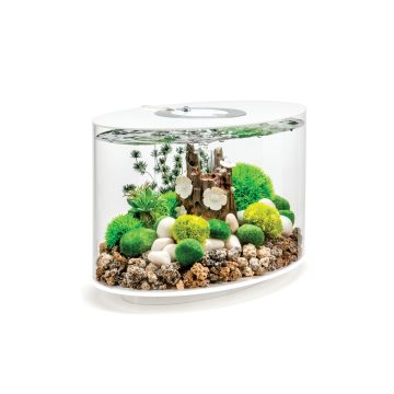 biOrb LOOP 15 LED blanc