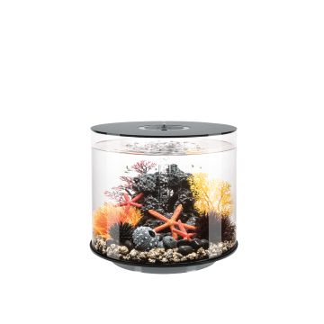 Oase biOrb TUBE 35 LED noir