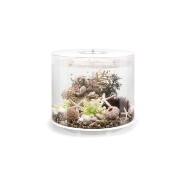 Oase biOrb TUBE 35 LED blanc