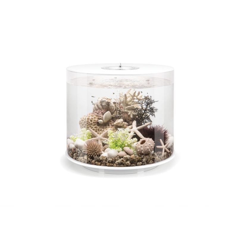 Oase biOrb TUBE 35 LED blanc