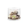 Oase biOrb TUBE 35 LED blanc