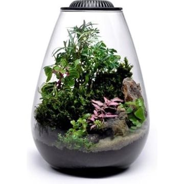 Wabi Kusa Bio bowl 200