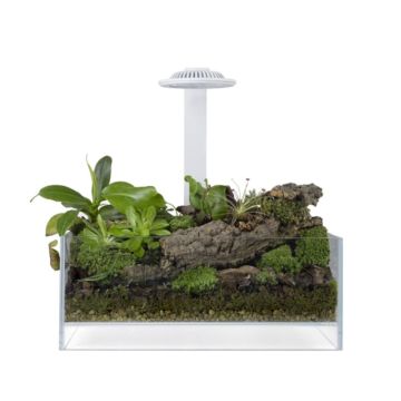 Wabi Kusa Bio air Tank 20x20x8