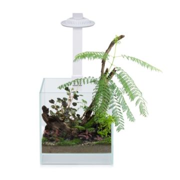 Wabi Kusa Bio Air Tank 20x20x20