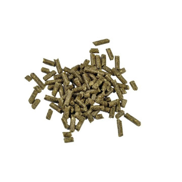 Dr.Bassleer Biofish Food shrimp sticks Chlorella 600g