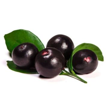 Dr.Bassleer Biofish Food acai L 600g