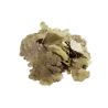Dr.Bassleer Biofish Food flora flakes 70g