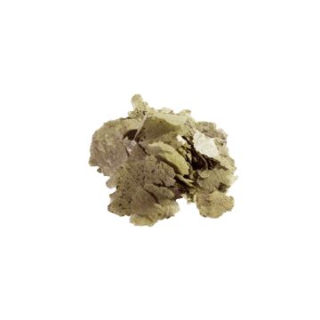 Dr.Bassleer Biofish Food flora flakes 35g